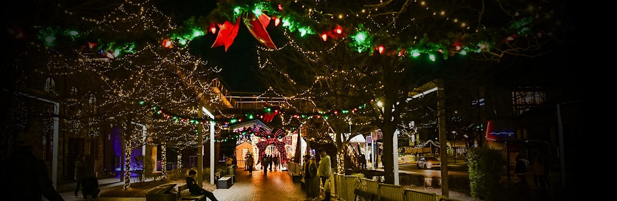 Night time picture of SteelStacks with lights on trees.