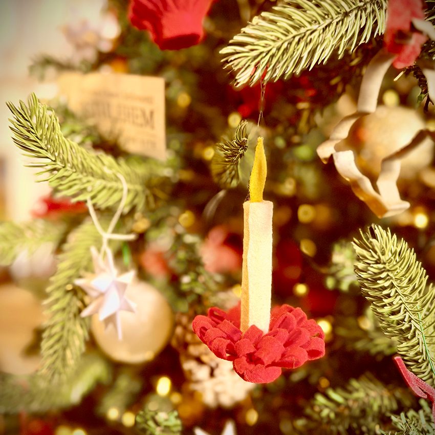 PIC_trees_historic-bethlehem_850x850